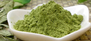stevia leaves powder
