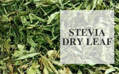 Zindagi stevia dry leafs