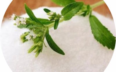 Circular image of Stevia leaf with powdered stevia